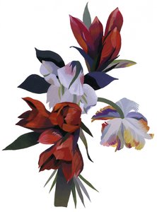 Image inconnue - Unbekannt Unbekannt